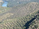 Douro 15: Rückweg von Castelo Rodrigo